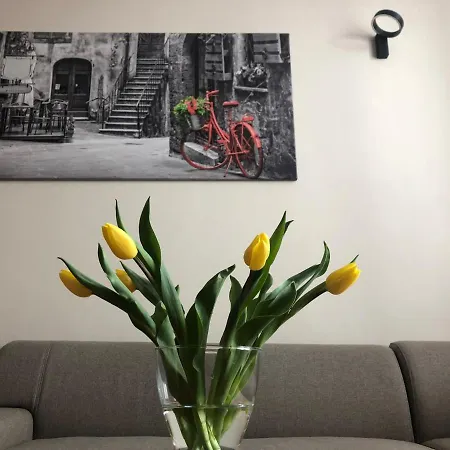 Zamkowy Apartment *